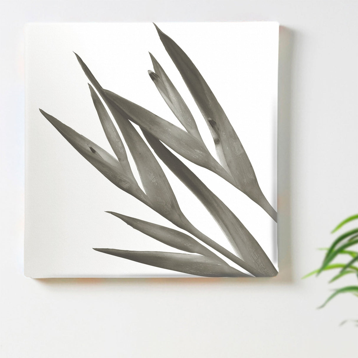 植物の壁掛けアート インテリア 雑貨 アート シンプルモダン  pop-0100