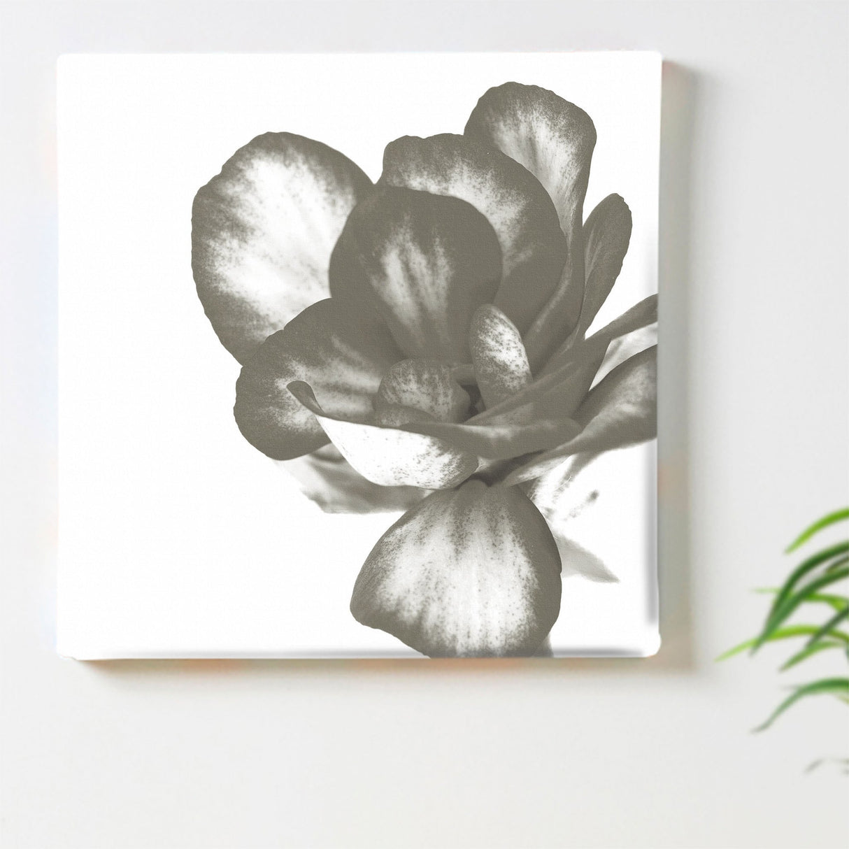 植物のファブリックボード インテリア 雑貨 アート シンプルモダン  pop-0101