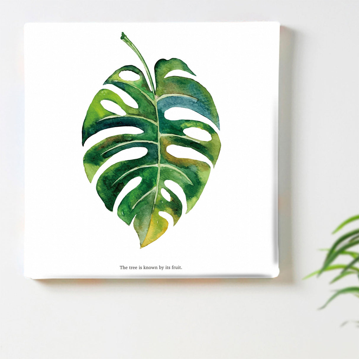 Wall decor with ornamental plants, interior goods, art, simple and modern, pop-0103