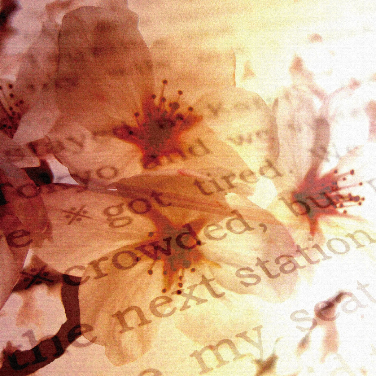 花とタイポグラフィのファブリックパネル 写真 壁掛け tnk-0001