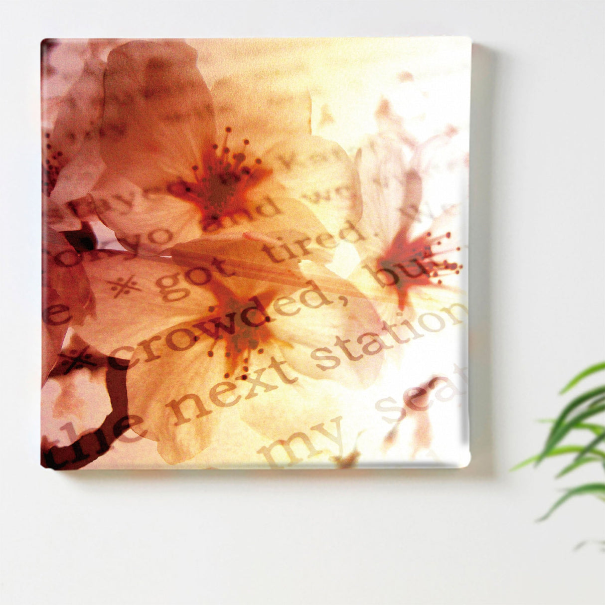 花とタイポグラフィのファブリックパネル 写真 壁掛け tnk-0001