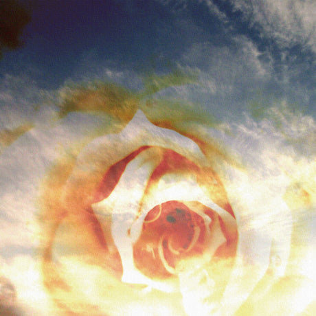 花と空のファブリックパネル アート 雑貨 tnk-0003