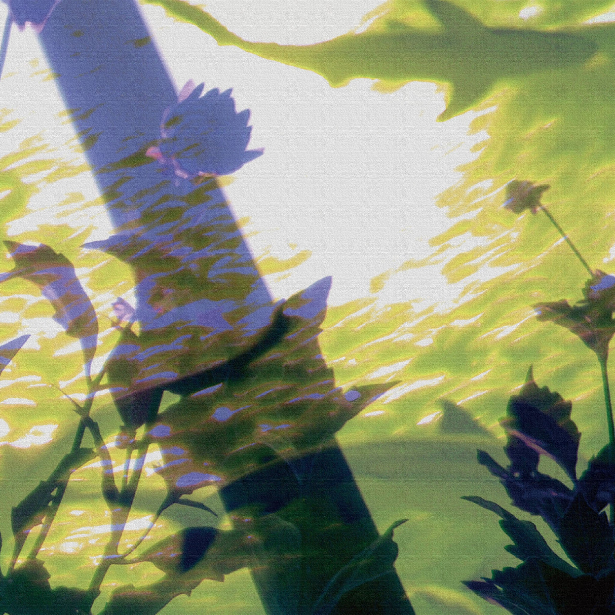 写真合成のアートボード 壁掛け アート tnk-0004