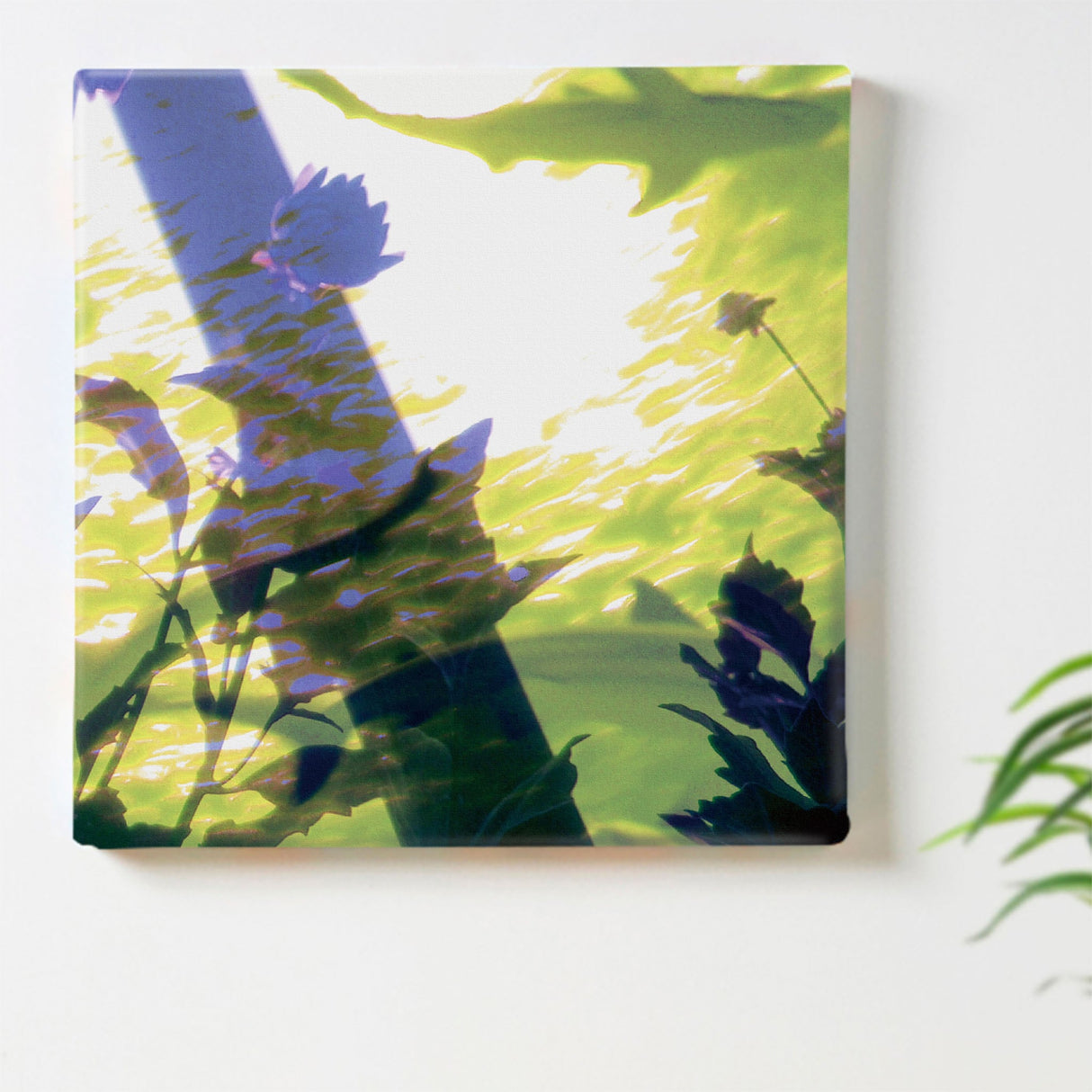 写真合成のアートボード 壁掛け アート tnk-0004