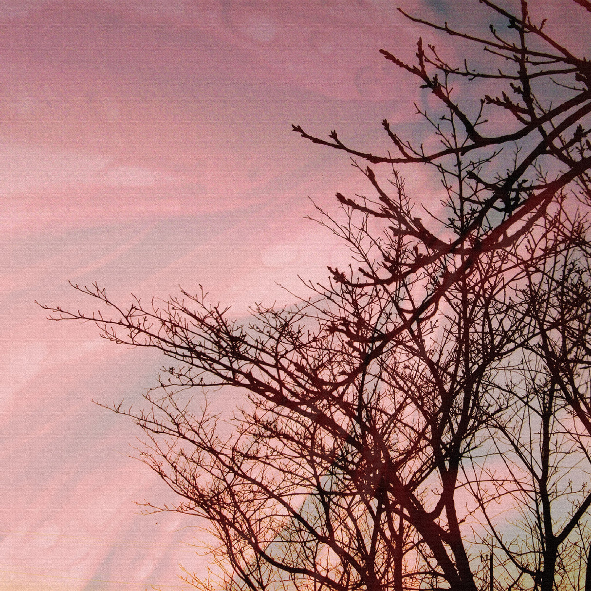 木と花のファブリックパネル 一人暮らし インテリア tnk-0005