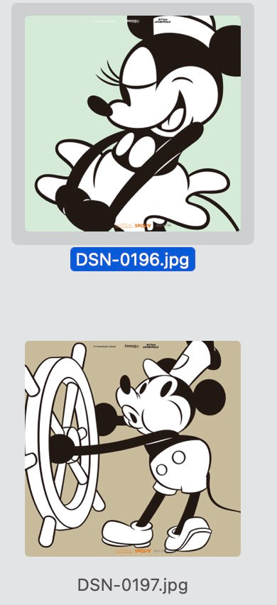 ミッキーandミニーマウスのアートパネル dsn-0196_dsn-0197