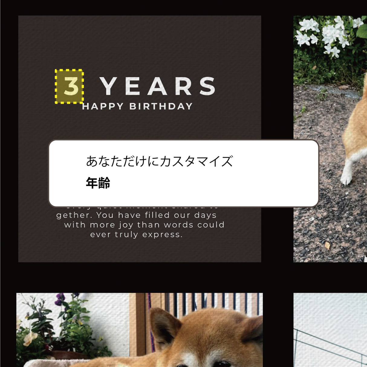 My Child Pop Art pet-art