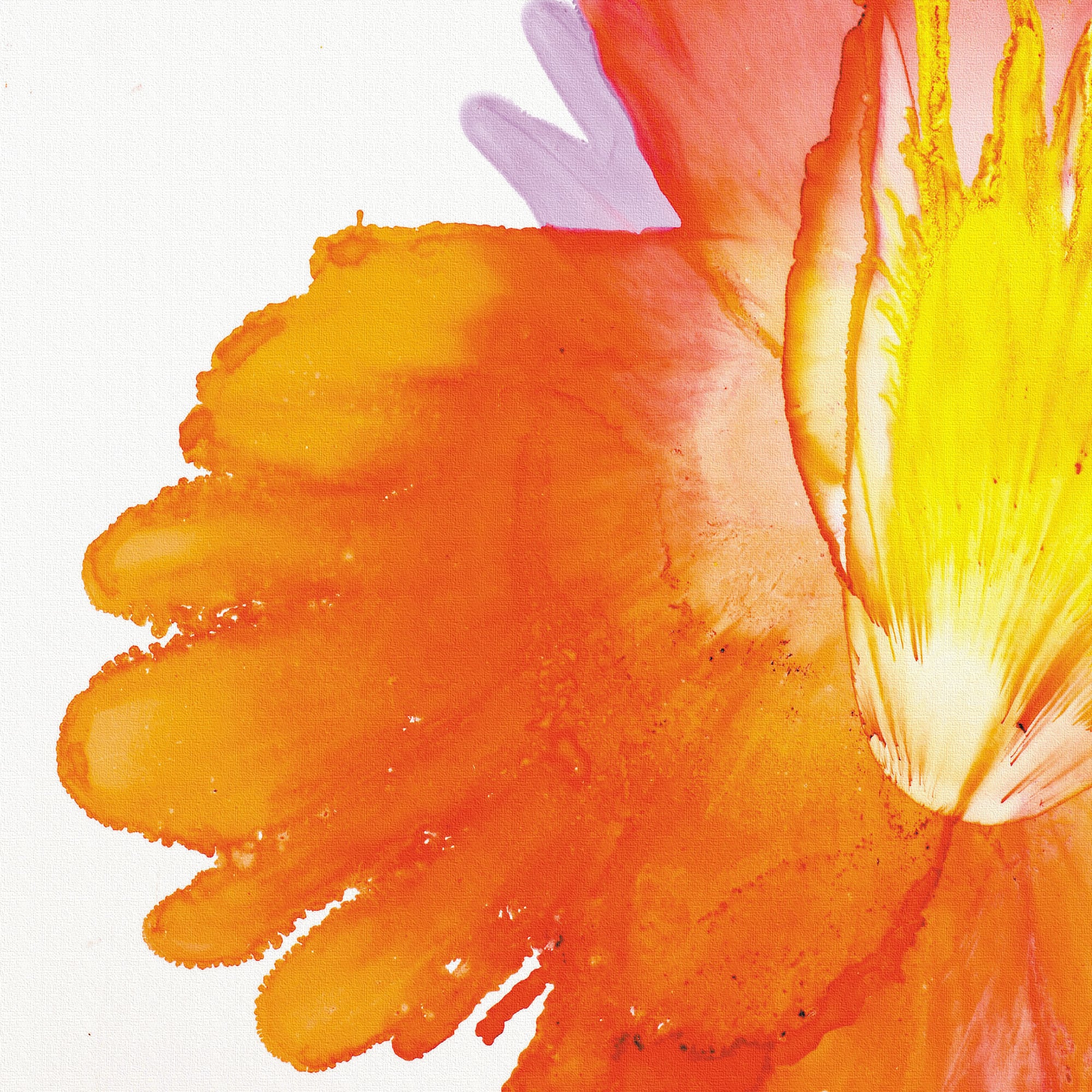 Bradley Jackson 花と金のあしらいのパネルアート X RAY キャンバスアート ゴールデン ローズ 絵画 インテリア 玄関 絵