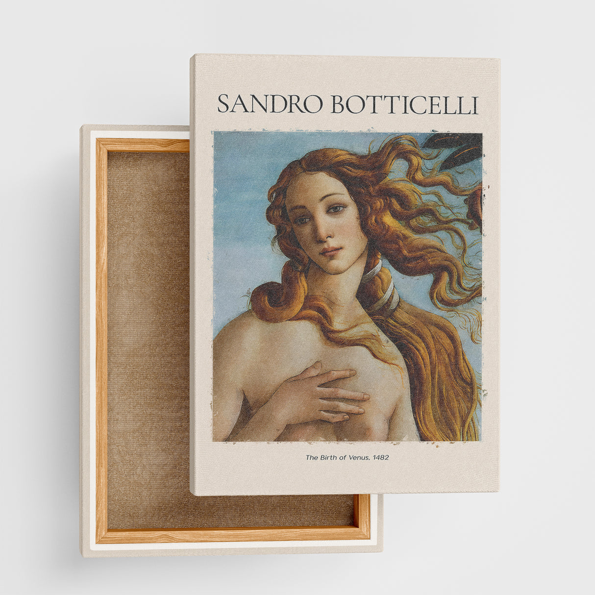 Sandro Botticelli Art Panel/Canvas Board BOTT-2404-04