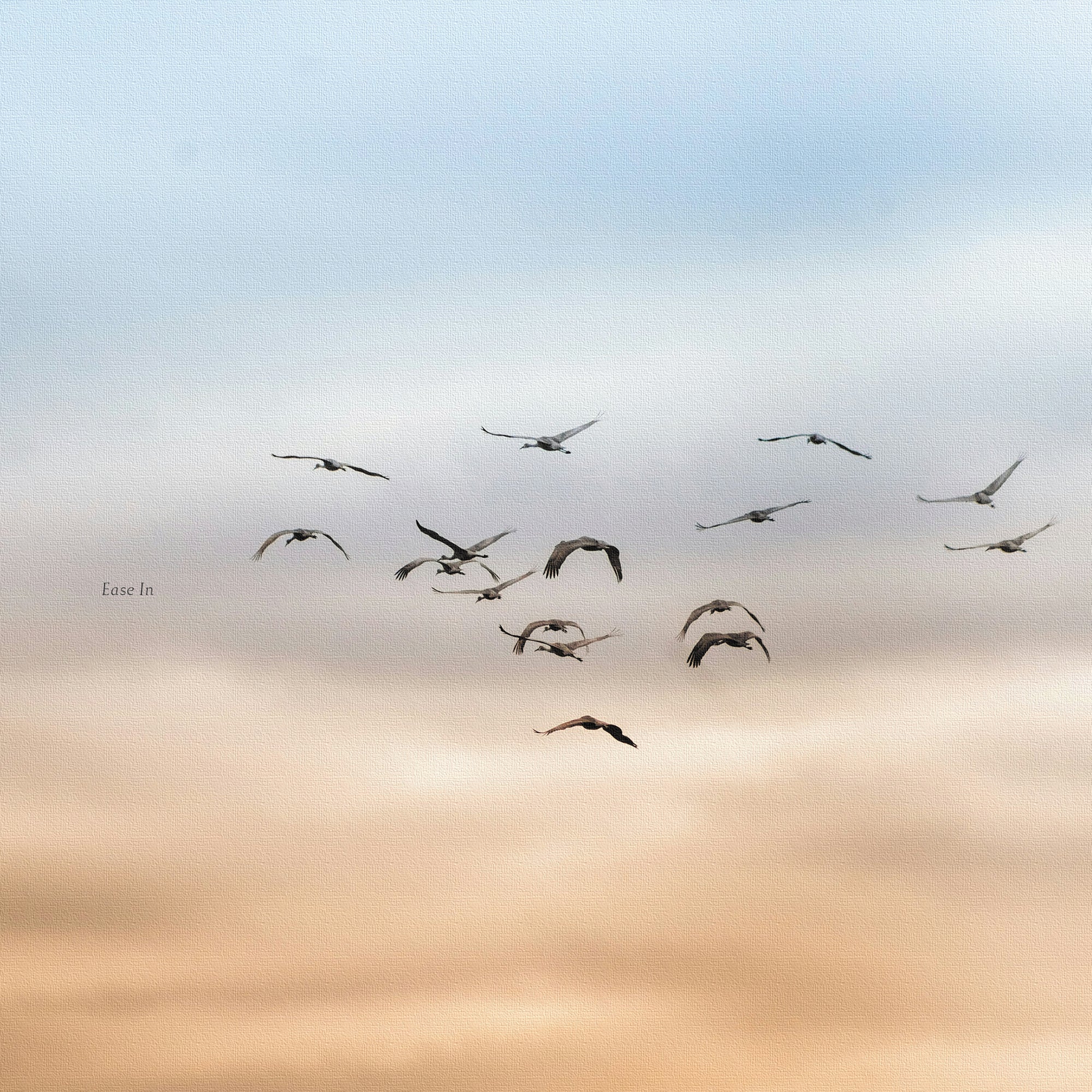 風の向こうへ［ペアパネルアート］玄関・廊下におすすめの鳥のアート