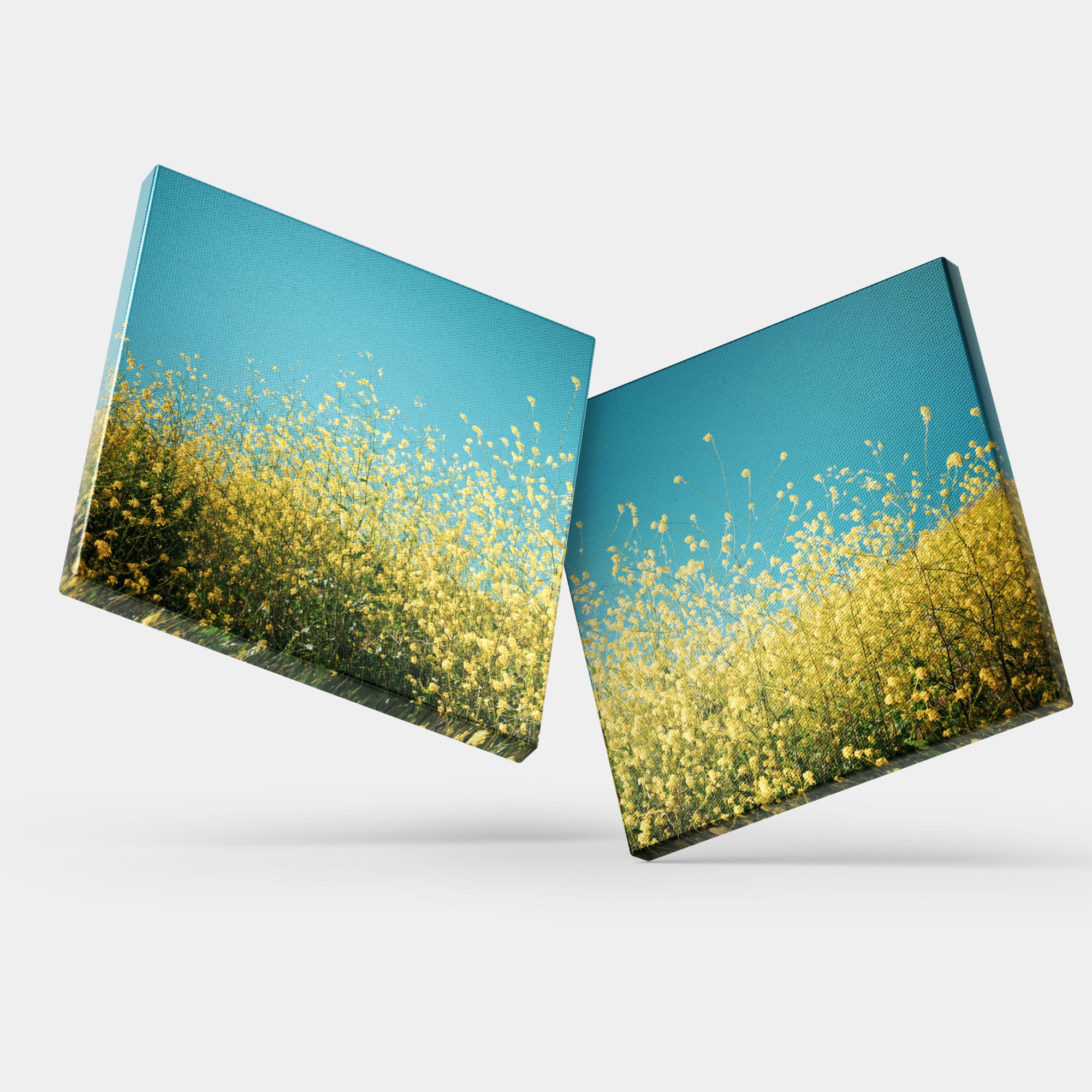 春の花と空のペアアート｜気分を明るくするインテリア – ArtDeli