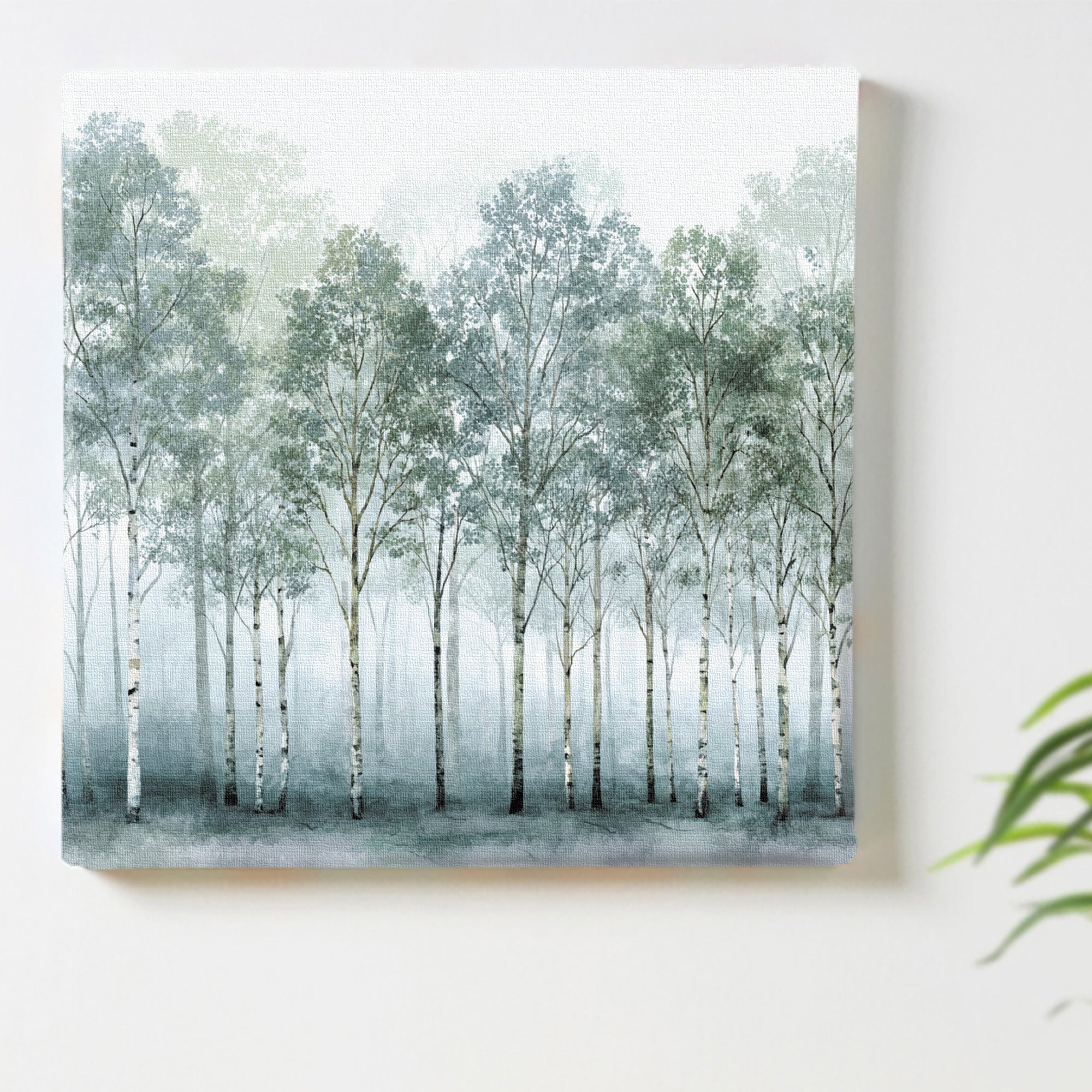 静寂の森（Forest of Stillness）｜視線と思考を整える、静かな森林