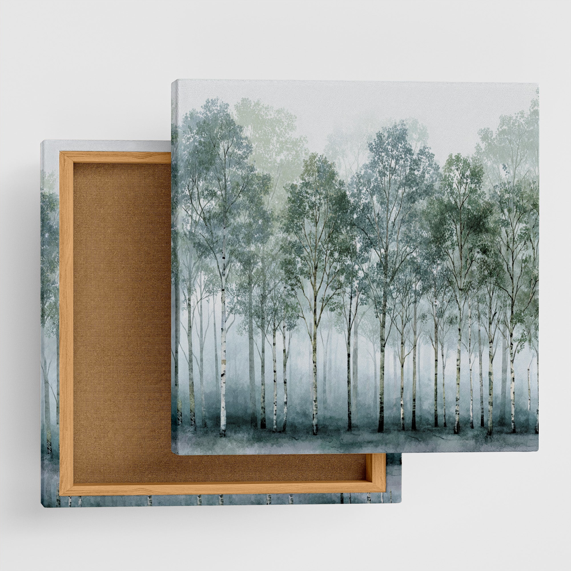 静寂の森（Forest of Stillness）｜視線と思考を整える、静かな森林