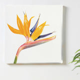 Malibu wall art interior goods art panel canvas popa-1803-021