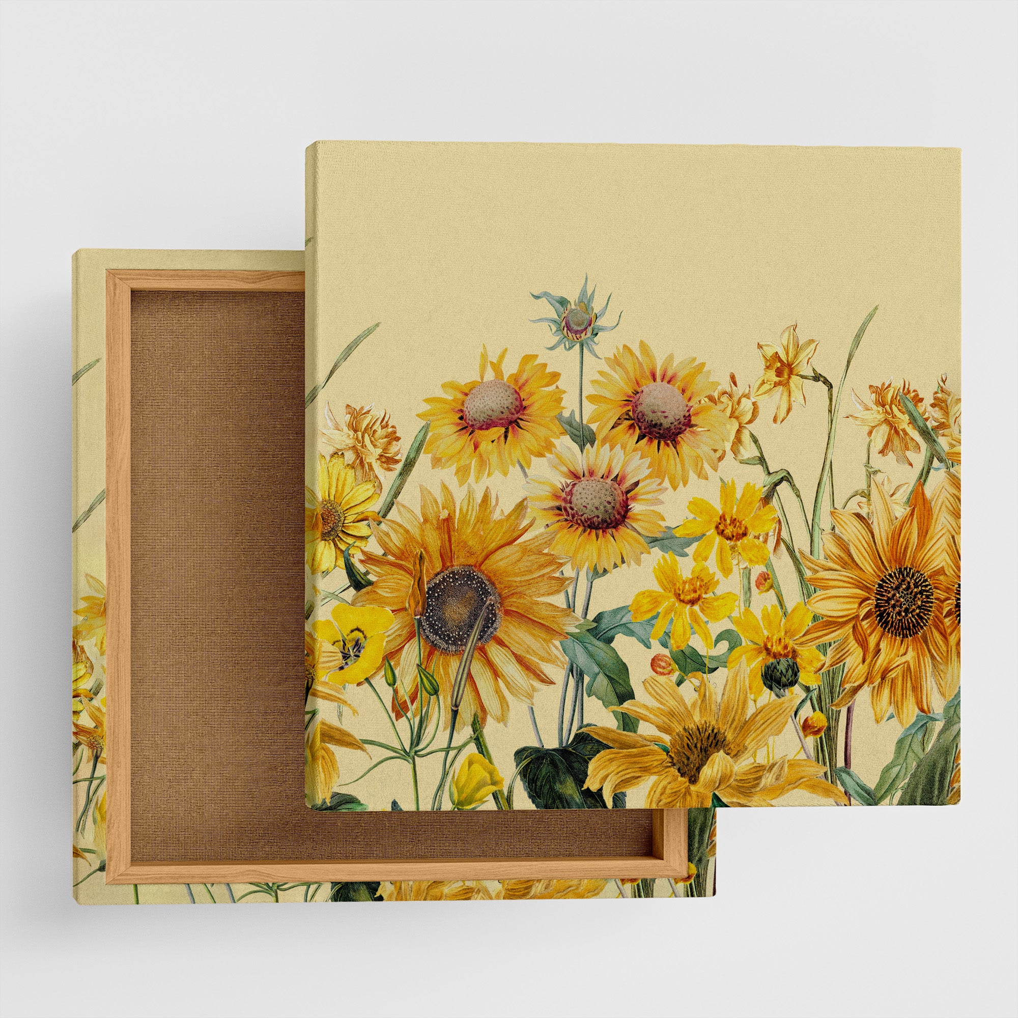 陽光の祝福｜エネルギーチャージの花アート ― Blessing of Sunlight