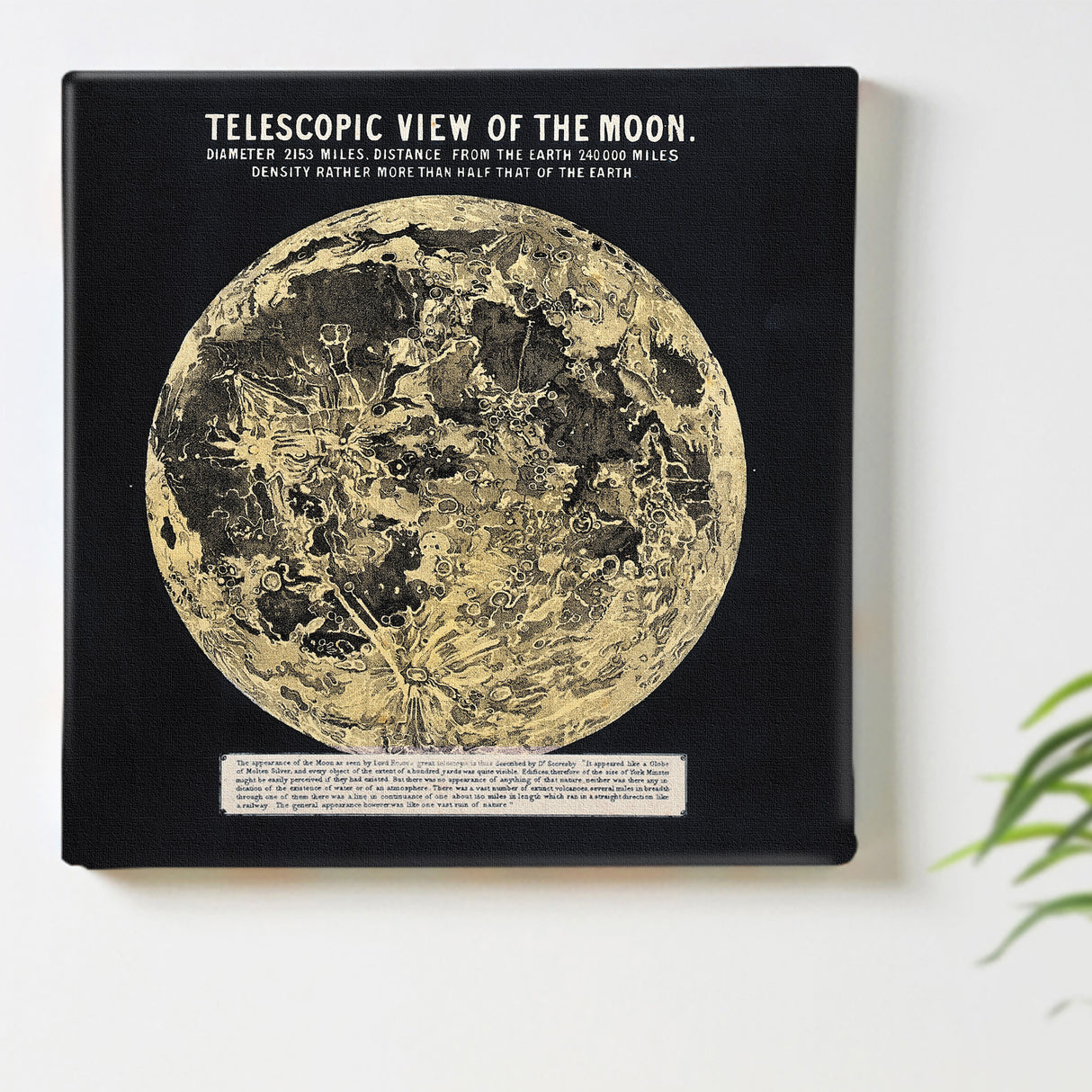 まぶたの奥にやわらかな余白がひろがり、眠りへと沈んでいく – 月面の静謐 – Lunar Serenity