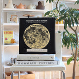 まぶたの奥にやわらかな余白がひろがり、眠りへと沈んでいく – 月面の静謐 – Lunar Serenity