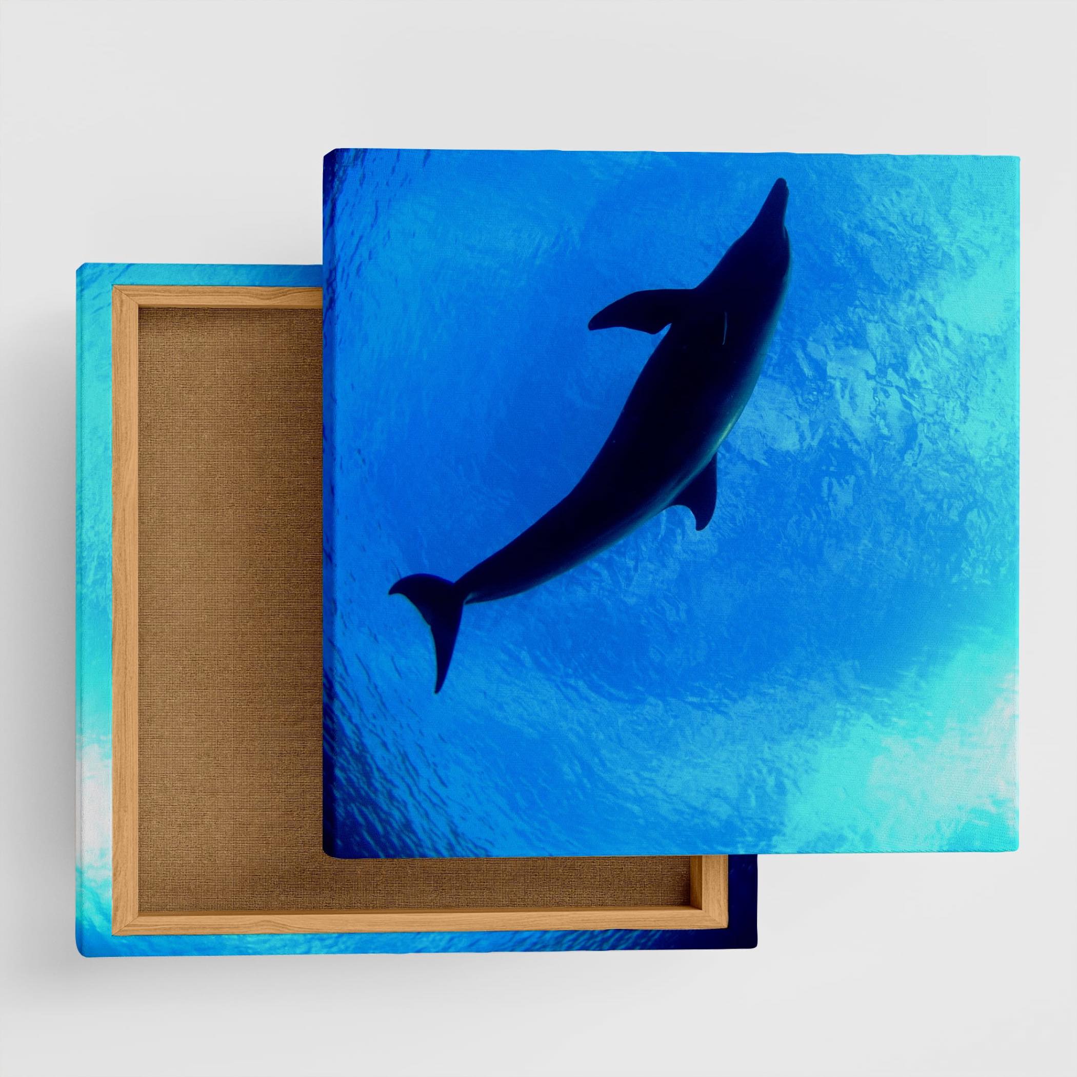 うみカメラマン「むらいさち」のファブリックパネル|イルカ アート