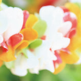深呼吸するように視界がひらく – 花と光のスイッチアート