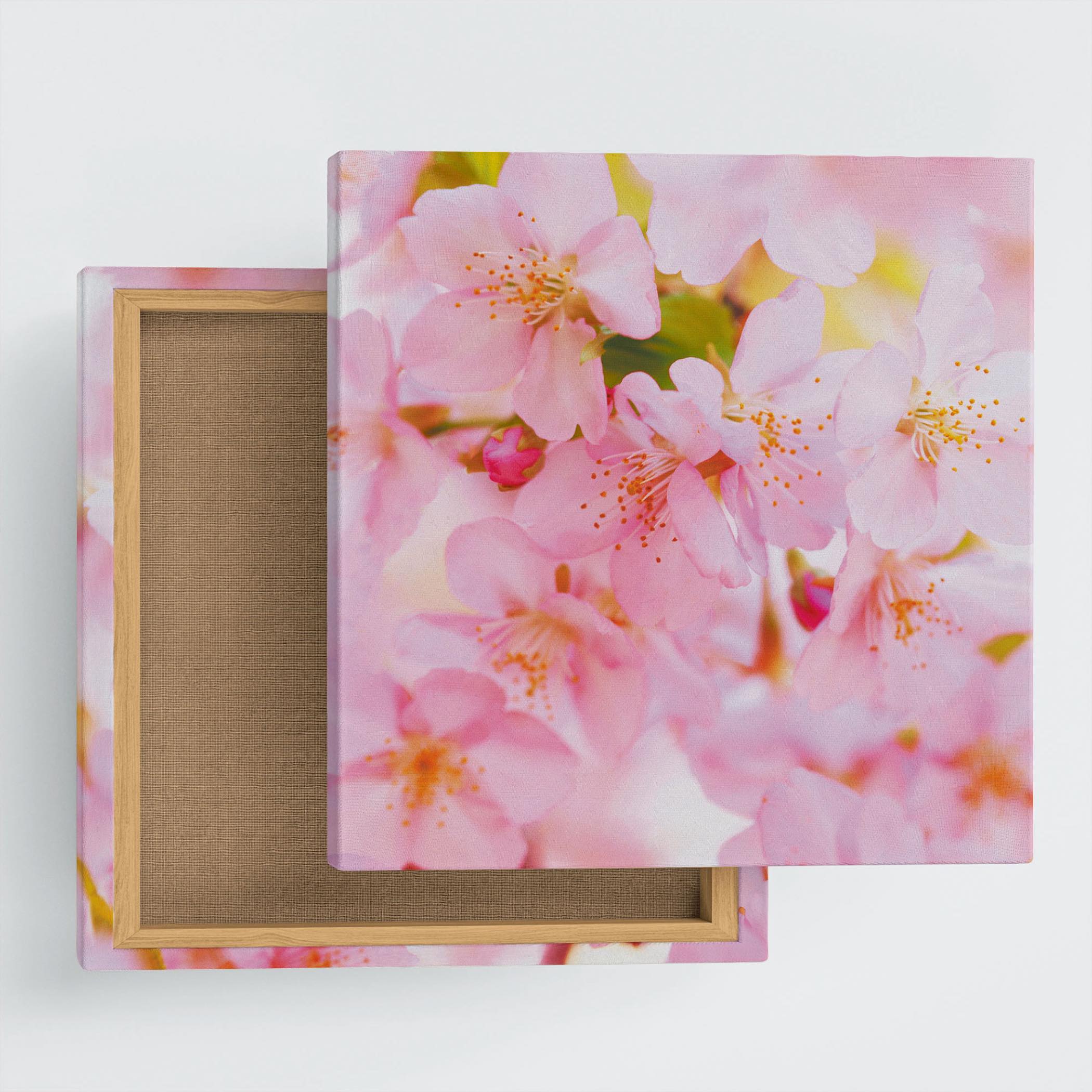 桜のファブリックパネル インテリア雑貨 アートパネル キャンバス 花