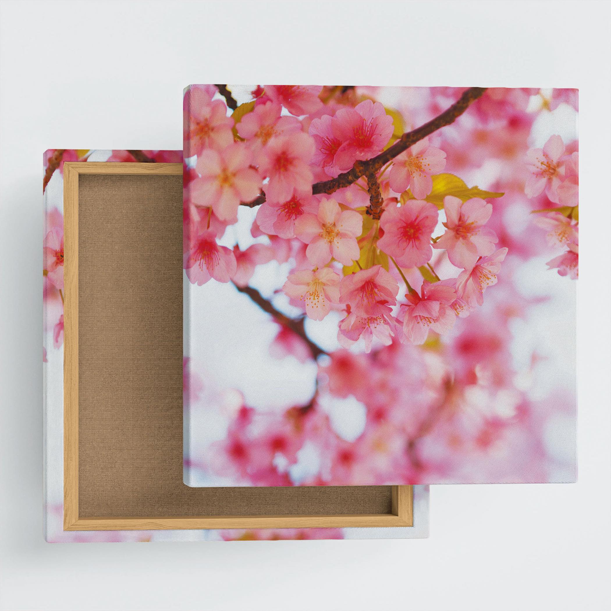 桜のファブリックパネルセット インテリア雑貨 アートパネル