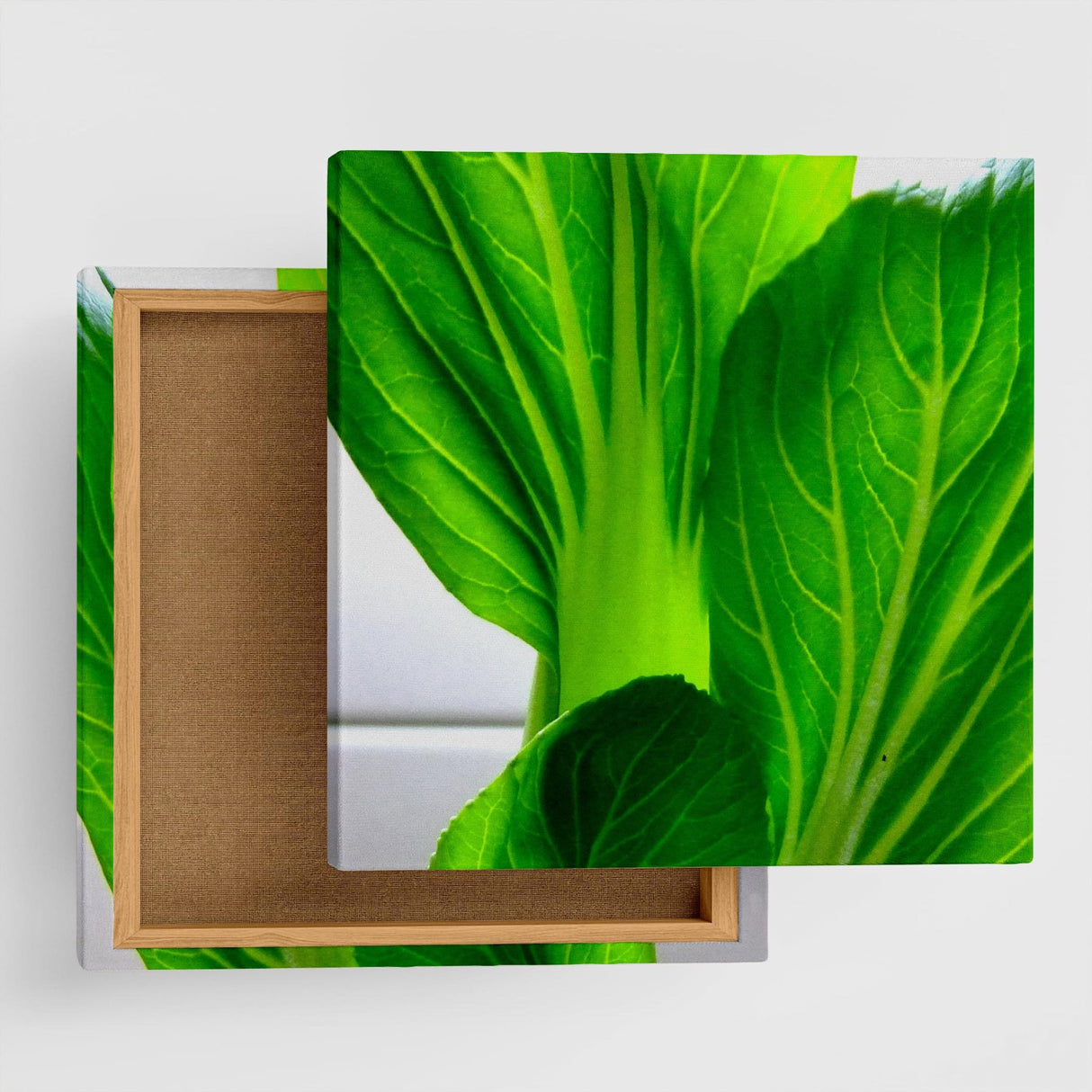 Vegetable-themed interior accessories, art, miscellaneous goods pho-0002