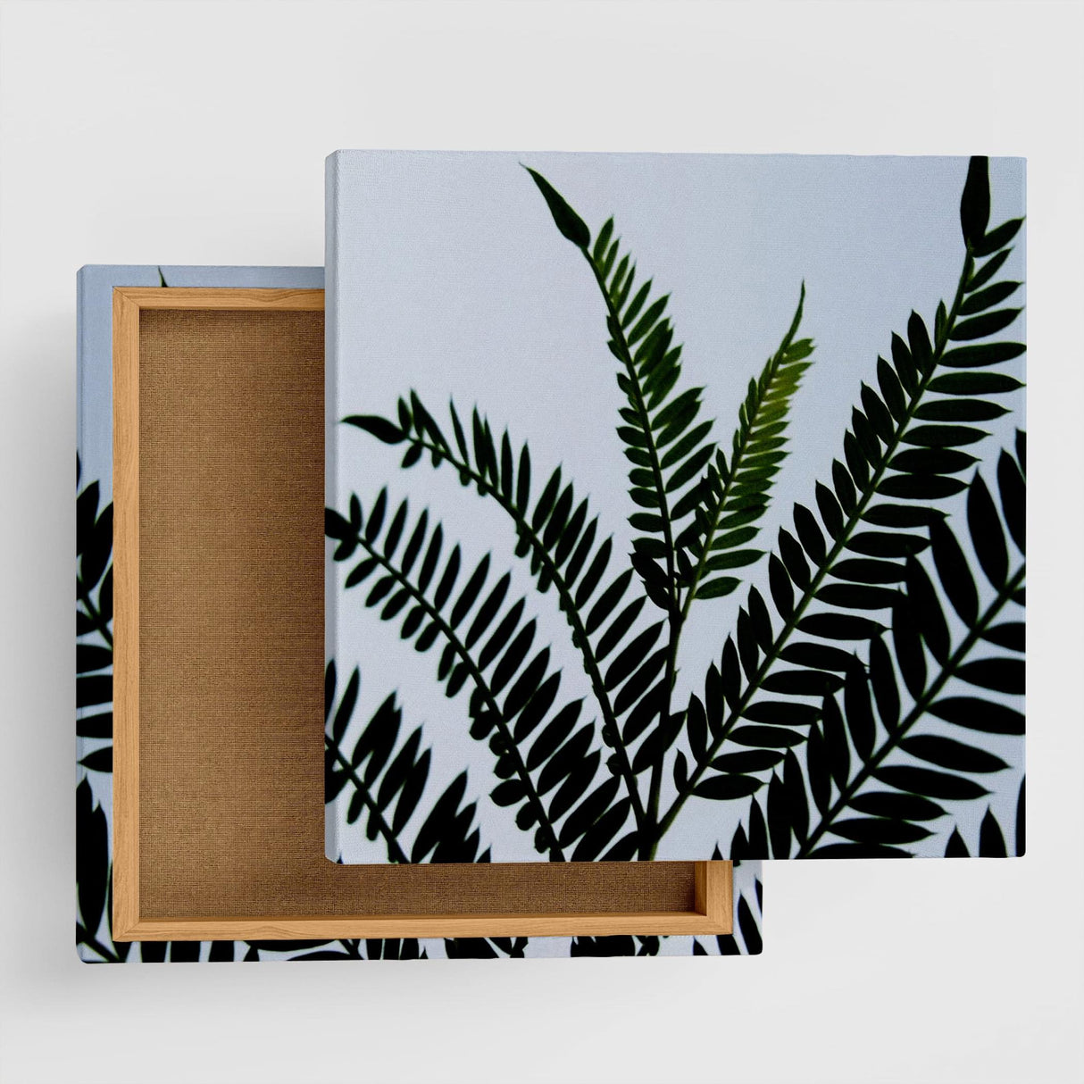 Plant interior accessories Interior art pho-0016