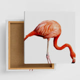 Flamingo Fabric Panel Photo Art pho-0037