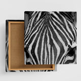 Zebra-themed fabric panel wall art pho-0060