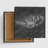 Feather motif interior accessory photo wall hanging pho-0066