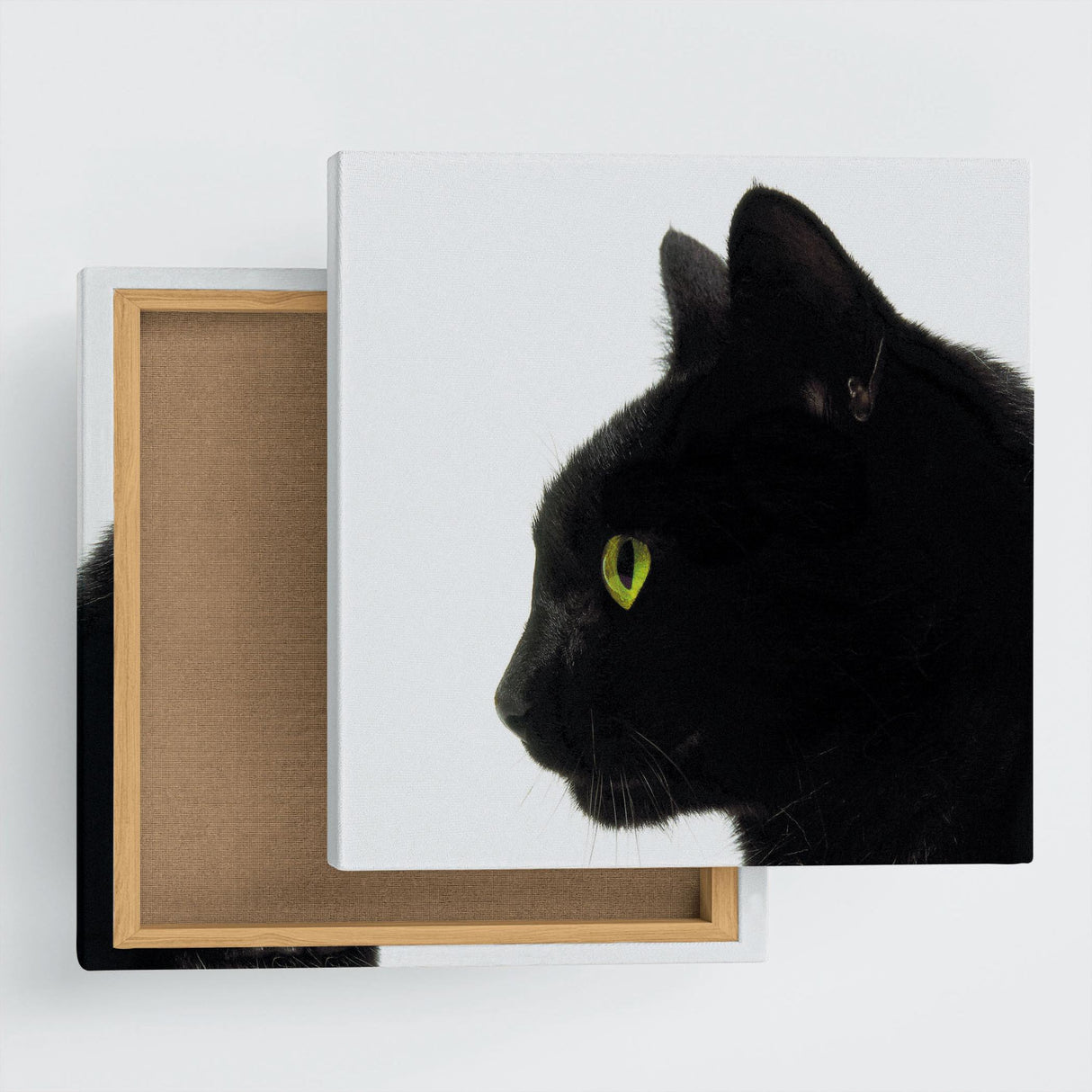 Black cat art board, accessories, interior