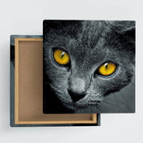 Cat interior accessories Fabric art