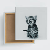 Cat fabric panel, miscellaneous goods, poster