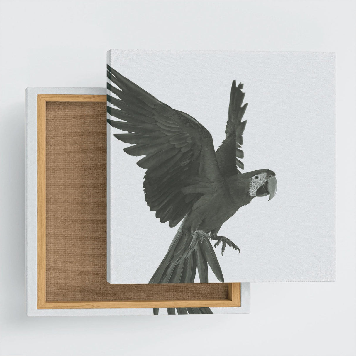 Bird wall art Interior goods Art Simple modern pho-0108