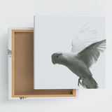 Bird fabric board Interior goods Art Simple modern pho-0109