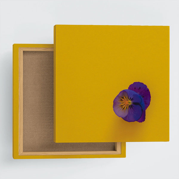 phot-2205-04_grande.jpg?v=