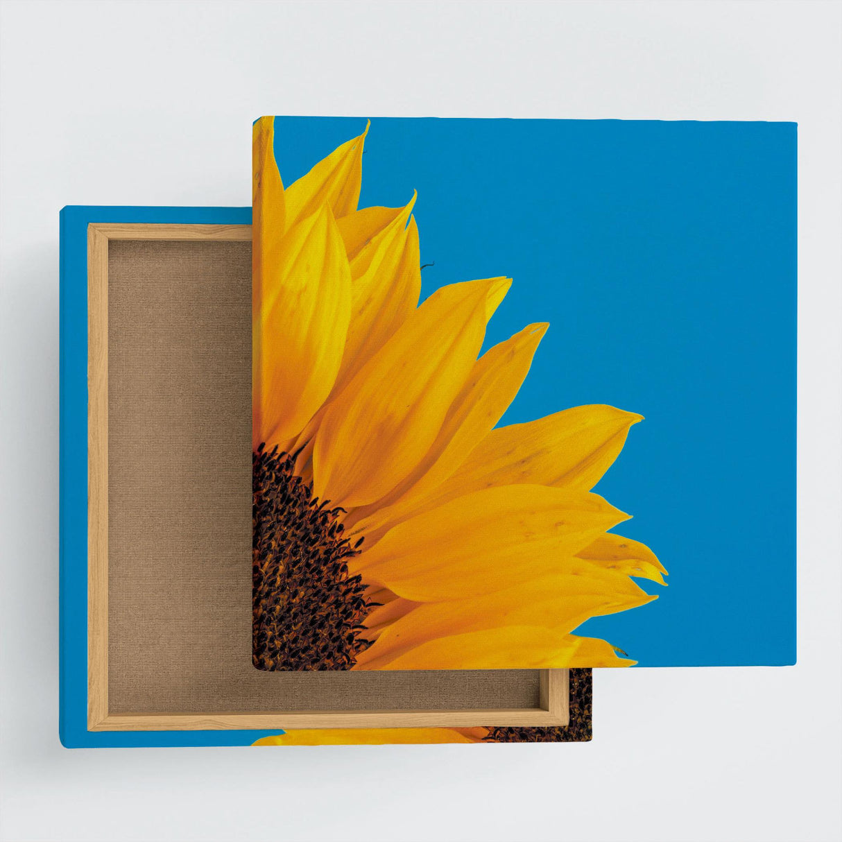 Flower Art Panel Interior Goods Art Panel Canvas Sunflower Blue poht-2205-07