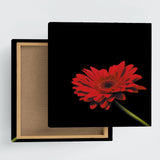 Flower Art Panel Interior Goods Art Panel Canvas Black poht-2205-17