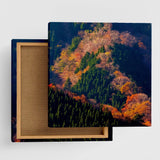 [Charity included] Fabric panel by hermit photographer Sakakibara Interior goods Nara Prefecture Power of art Nature Autumn leaves skbr-0003