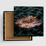 [Charity included] Wall decor by the hermit photographer Sakakibara Interior goods Shiga Prefecture The power of art Nature Fallen leaves skbr-0004