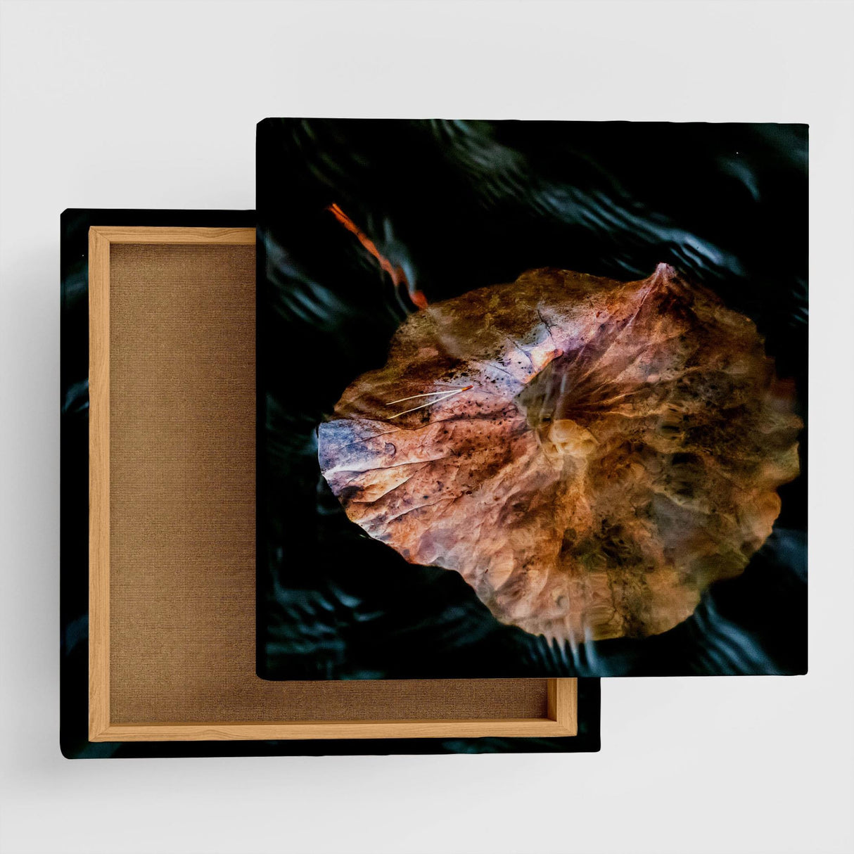 [With Charity] Fabric Panel by Sennin Photographer Sakakibara Interior Goods Shiga Prefecture Power of Art Nature Fallen Leaves skbr-0005