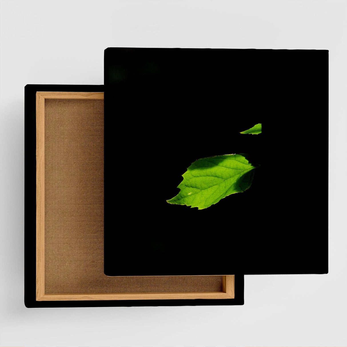 [Charity included] Wall art by Sennin Photographer Sakakibara Interior goods Gifu Prefecture The power of art Nature Fallen leaves skbr-0008