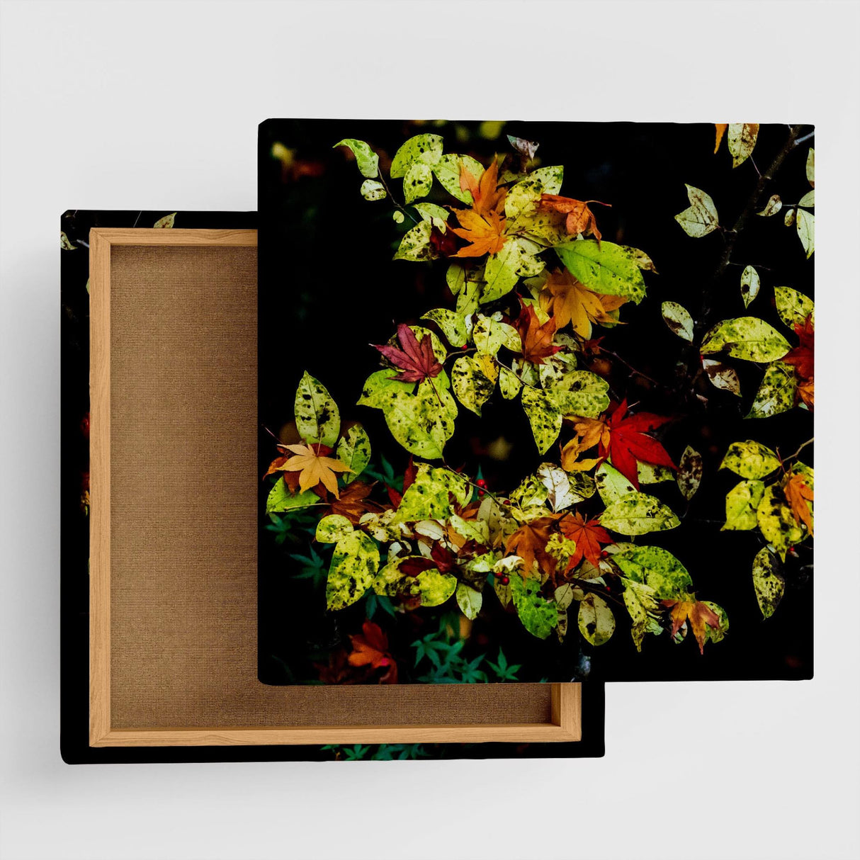 [Charity included] Art panel by the hermit photographer Sakakibara Interior goods Gifu Prefecture The power of art Nature Fallen leaves skbr-0011