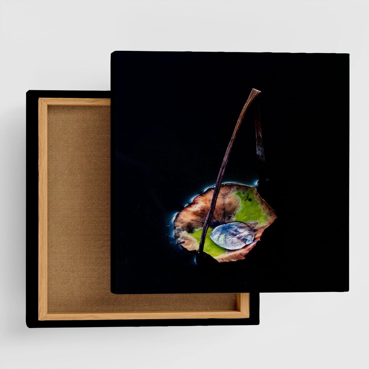 [Charity included] Art panel by the hermit photographer Sakakibara Interior goods Nagano Prefecture The power of art Nature Fallen leaves skbr-0019