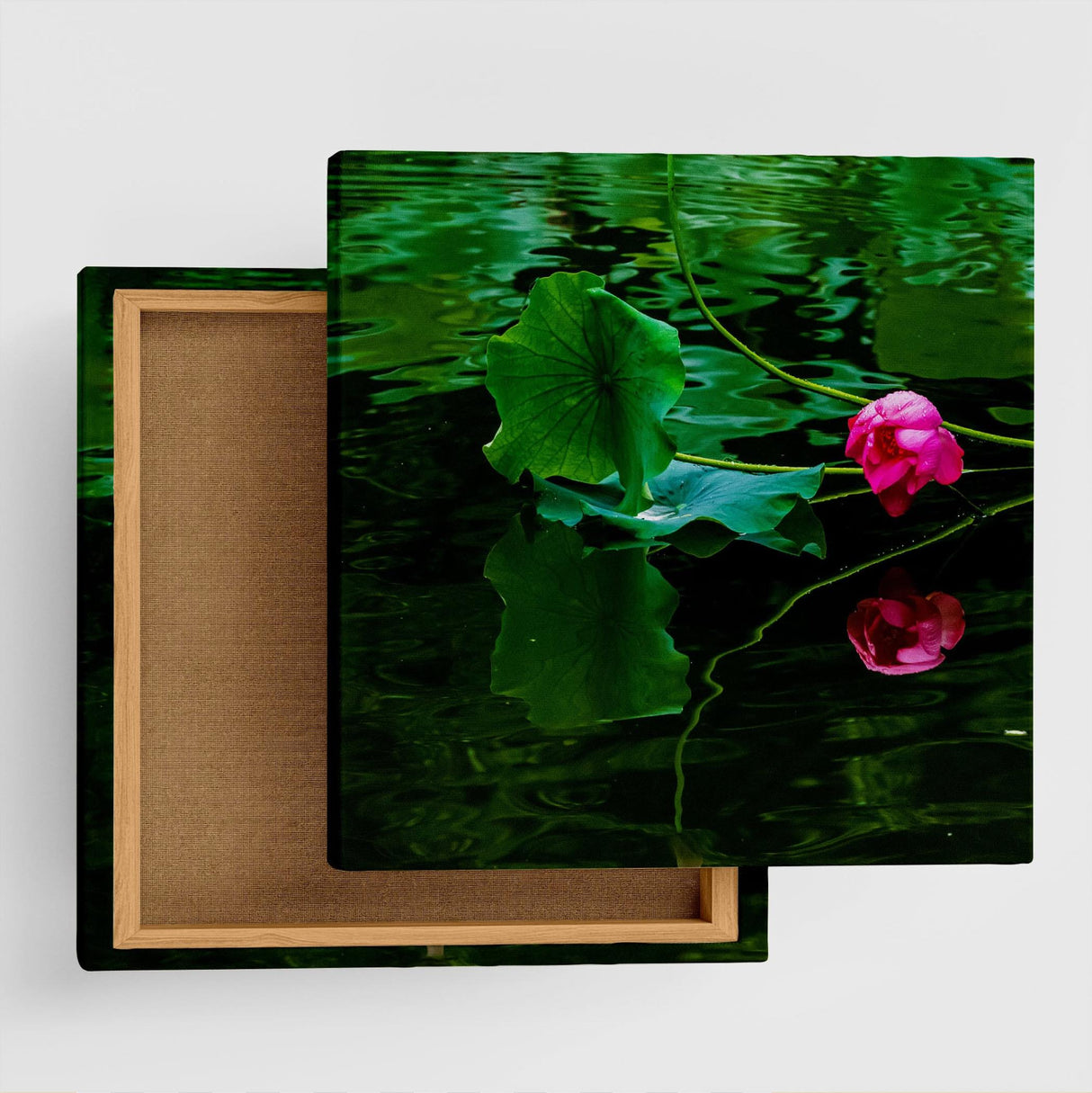 [Charity included] Art panel by hermit photographer Sakakibara Interior goods Fukui Prefecture Power of Art Nature Flowers skbr-0027