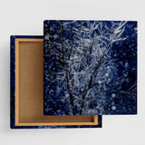 [With Charity] Art Panel by Sennin Photographer Sakakibara Interior Goods Gifu Prefecture Power of Art Nature Rain and Ice skbr-0035