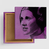 Leia Organa art panel interior art miscellaneous goods stw-0012