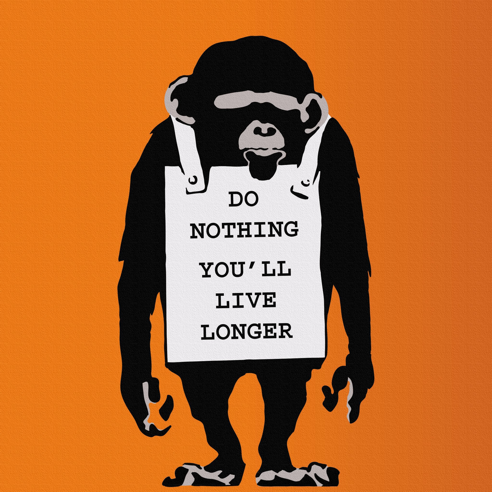 バンクシー デザイン 日本正規ライセンスのファブリックパネル アート