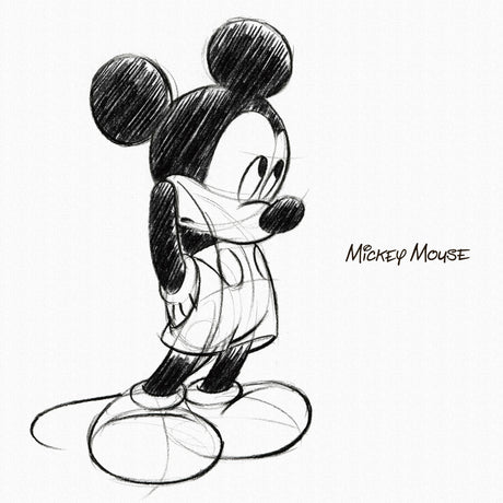 ミッキーのファブリックパネル Disney ウォールデコ dsn-0007