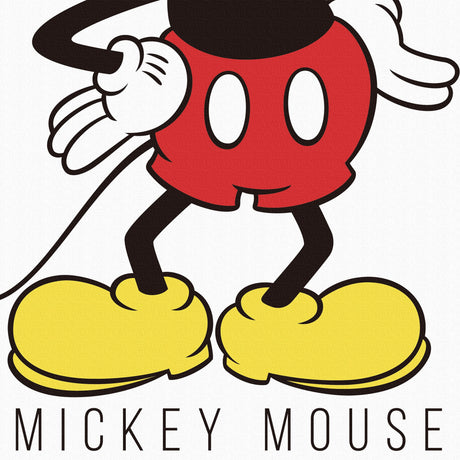 ミッキーのファブリックボード Disney アート dsn-0229